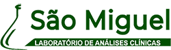 Lab São Miguel Logo